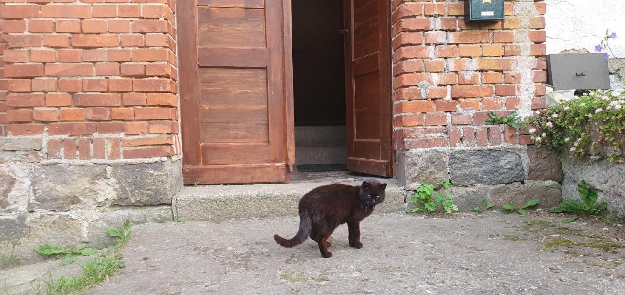 Vila Mazurska Przystan Dąbrówno Exteriér fotografie